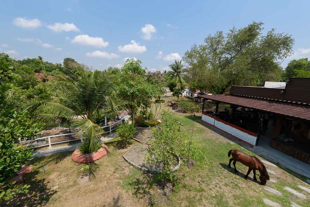 Cowboy Farm Resort Pattaya Ban Huai Yai Екстериор снимка