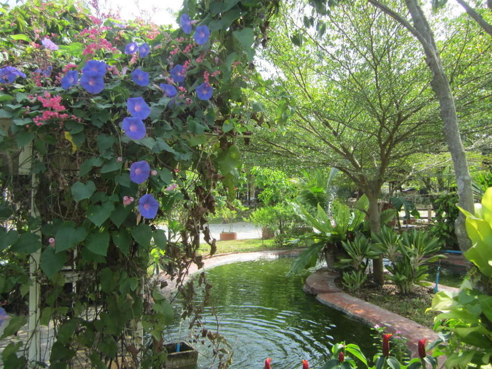 Cowboy Farm Resort Pattaya Ban Huai Yai Екстериор снимка