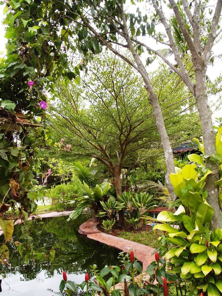 Cowboy Farm Resort Pattaya Ban Huai Yai Екстериор снимка